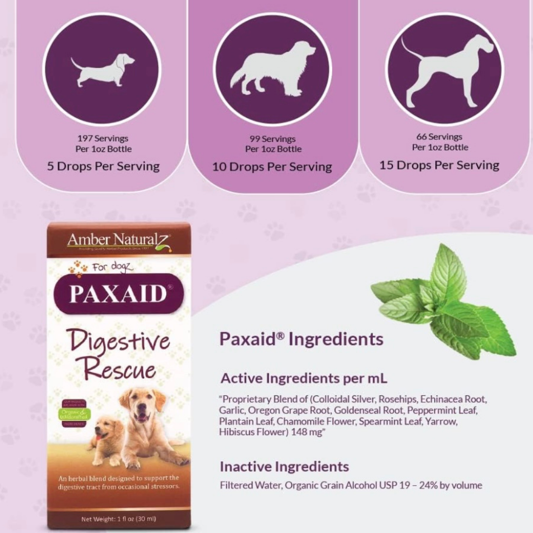 Amber Naturalz Paxaid | Natural Relief for Digestive Upset +Discomfort