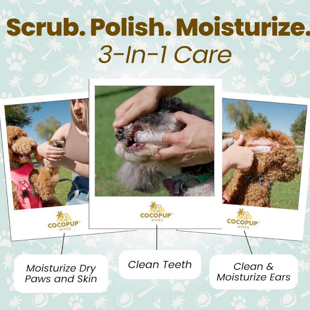 Cocopup Organic Coconut Oil Wipes | Dental & Multi-Purpose Care