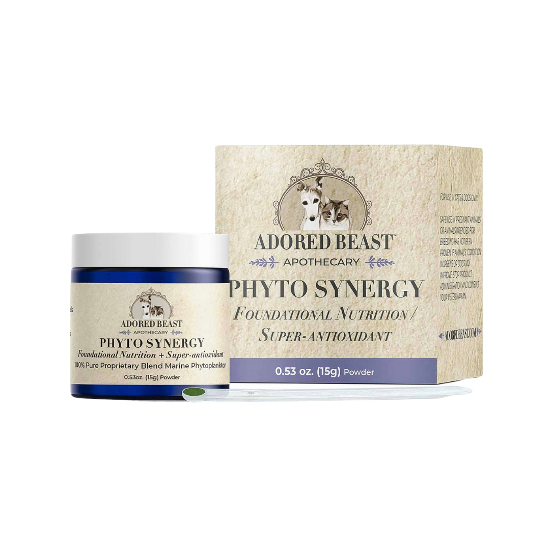 Adored Beast Phyto Synergy | Marine Phytoplankton Antioxidant