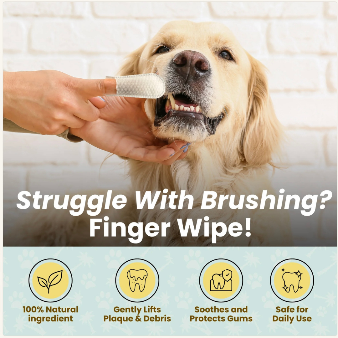 Cocopup Organic Coconut Oil Wipes | Dental & Multi-Purpose Care