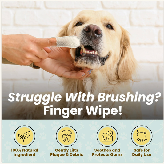 Cocopup Organic Coconut Oil Wipes | Dental & Multi-Purpose Care