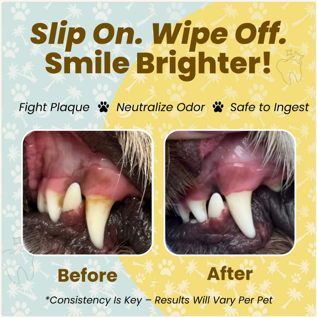 Cocopup Organic Coconut Oil Wipes | Dental & Multi-Purpose Care