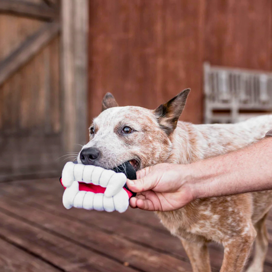 PLAY Barky's Bite