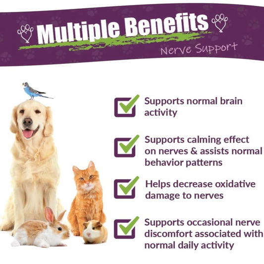 Amber Naturalz Nerve Support