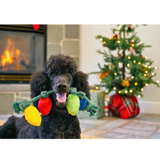 PLAY Twinkly Tugger