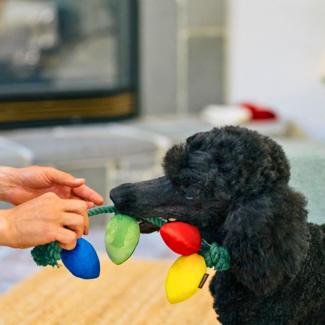 PLAY Twinkly Tugger