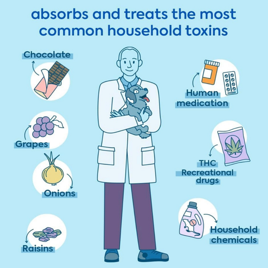 Dr. Cuddles ReadyRESCUE | Fast-Acting Detox + Emergency Poison Aid