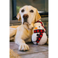 PLAY Blizzard Buddy
