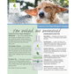 Pure and Natural Pet Organic Fragrance Free Hypoallergenic Shampoo