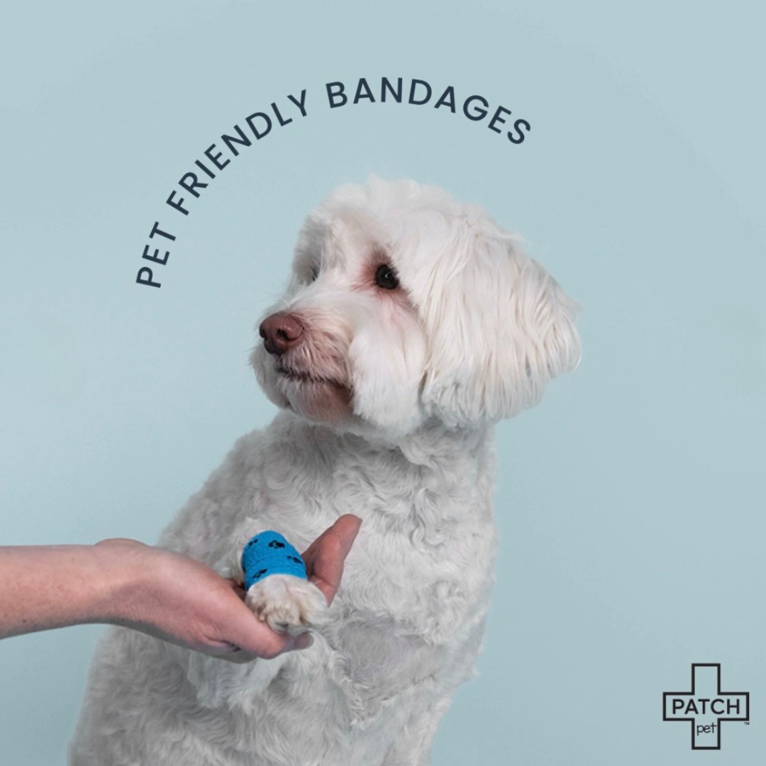 PATCH Pet Eco First-Aid Kit