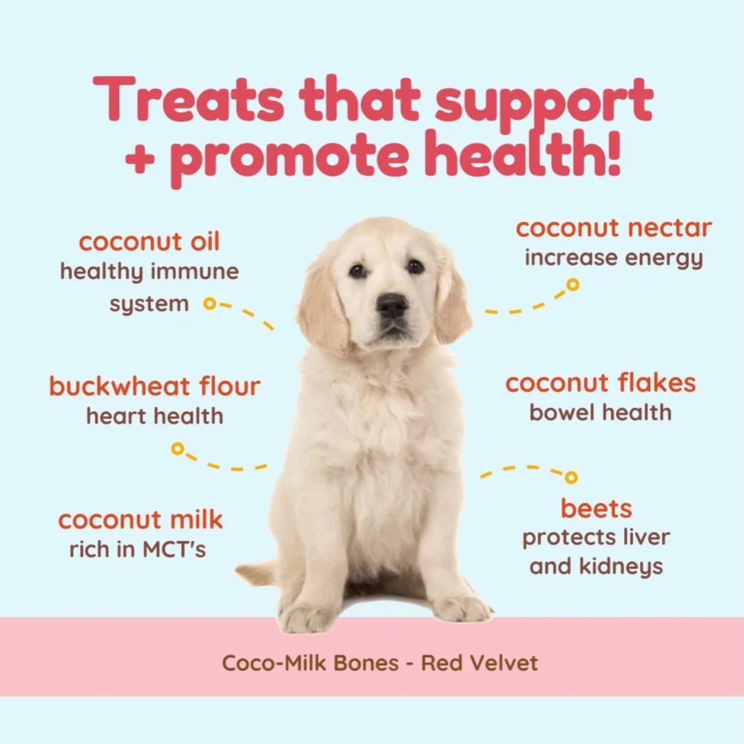 Coconut milk top good for dogs