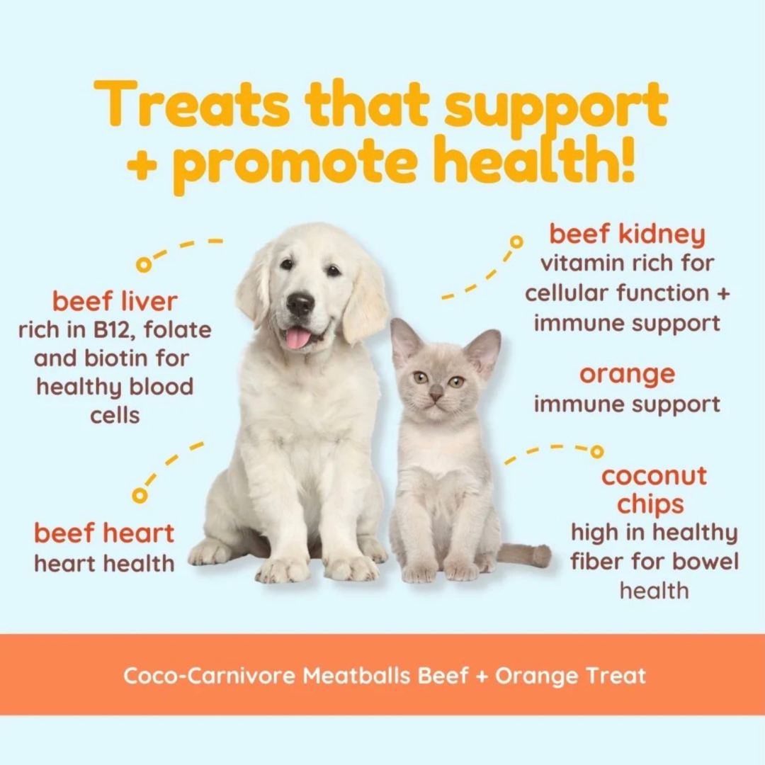 CocoTherapy Coco-Carnivore Meatballs | Beef