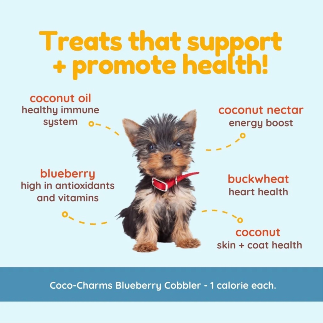 CocoTherapy Coco-Charms Training Treats | Blueberry Cobbler