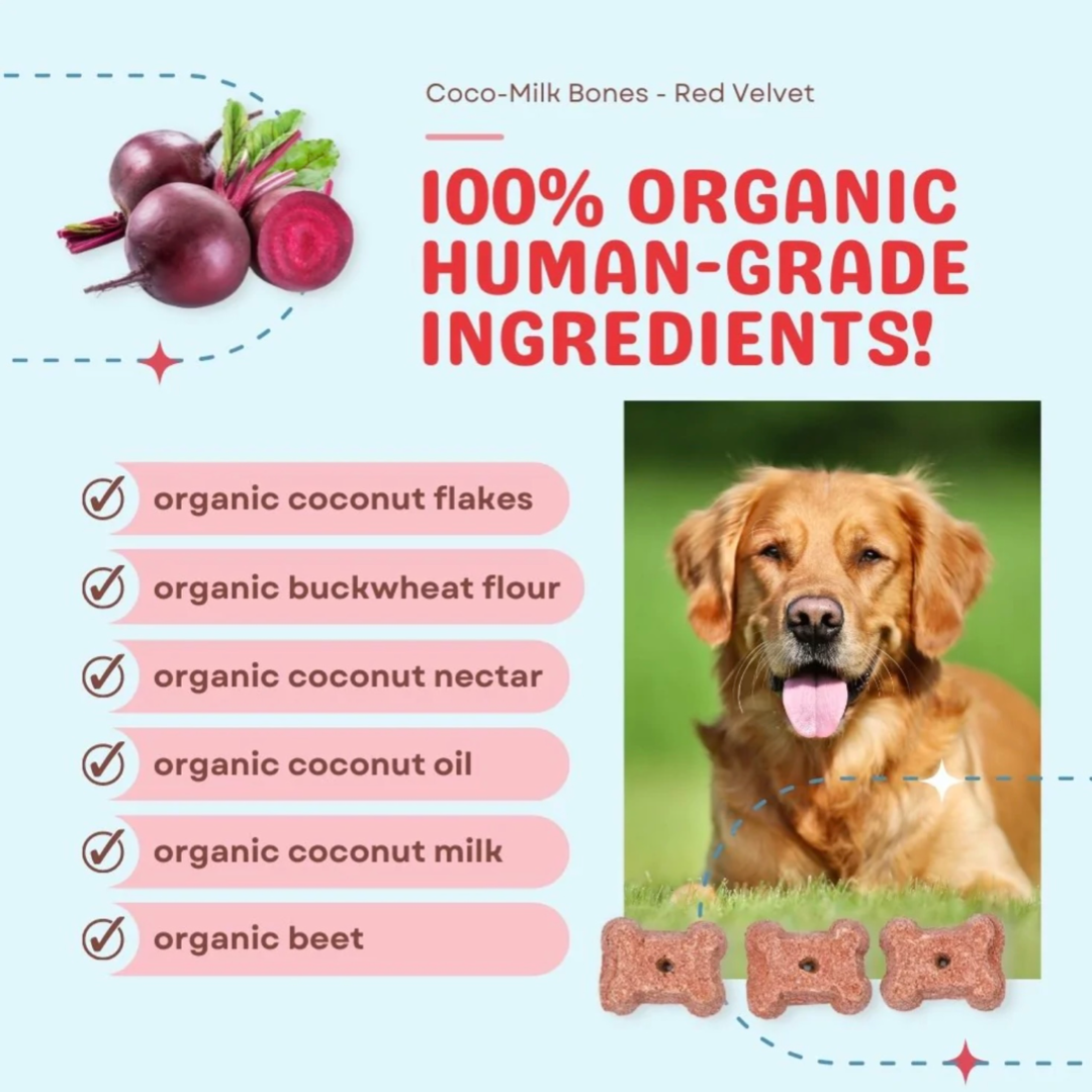 Coconut milk for dogs best sale