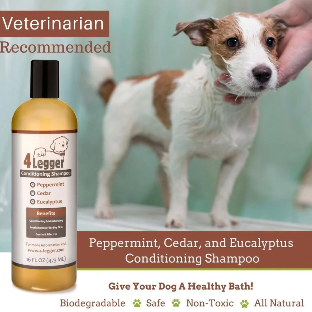 Organic Dog Deodorizing Spray by 4Legger