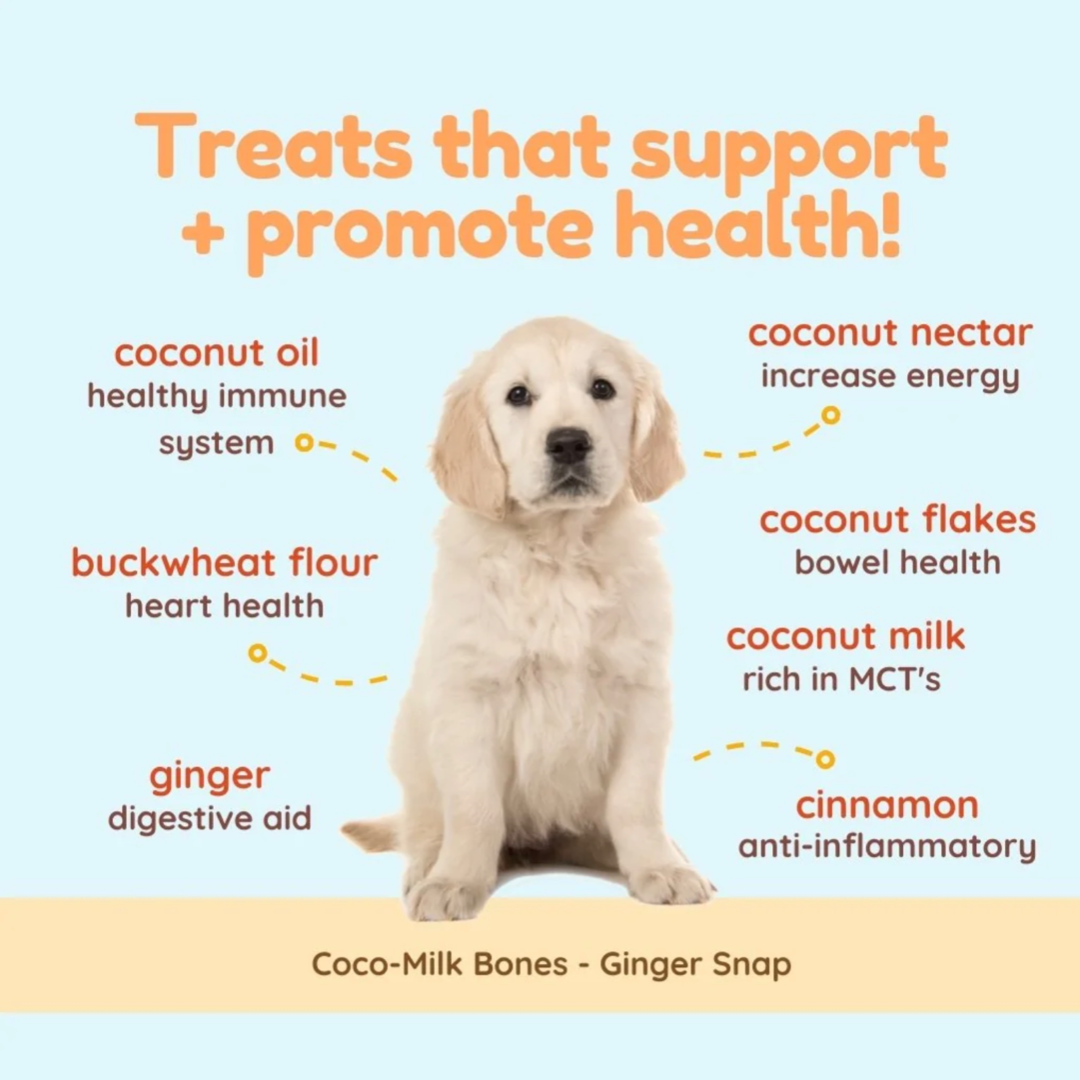 CocoTherapy Coco-Milk Bones | Ginger Snaps