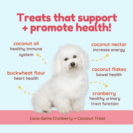Cocotherapy Coco-Gems Training Treats | Cranberry