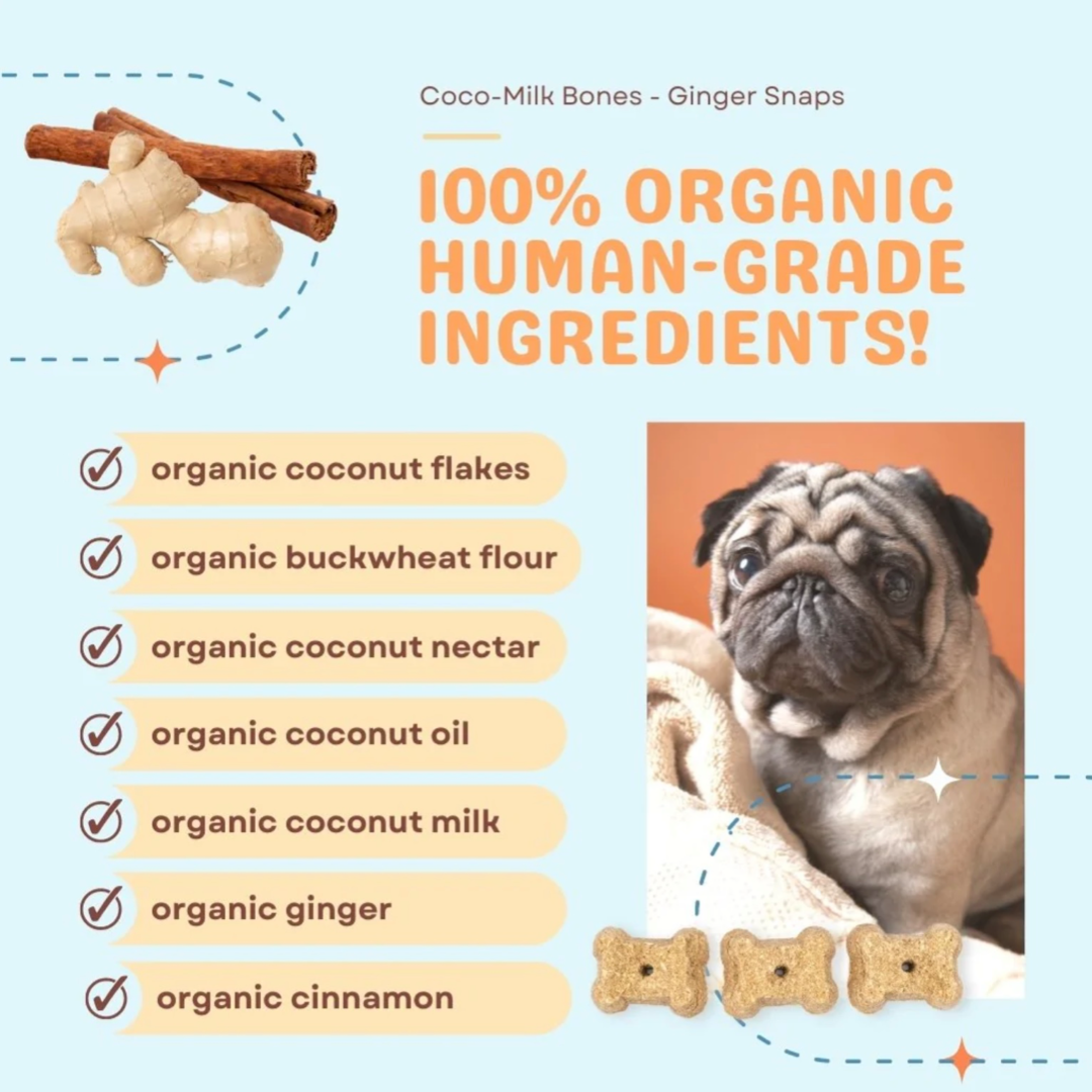 CocoTherapy Coco-Milk Bones | Ginger Snaps