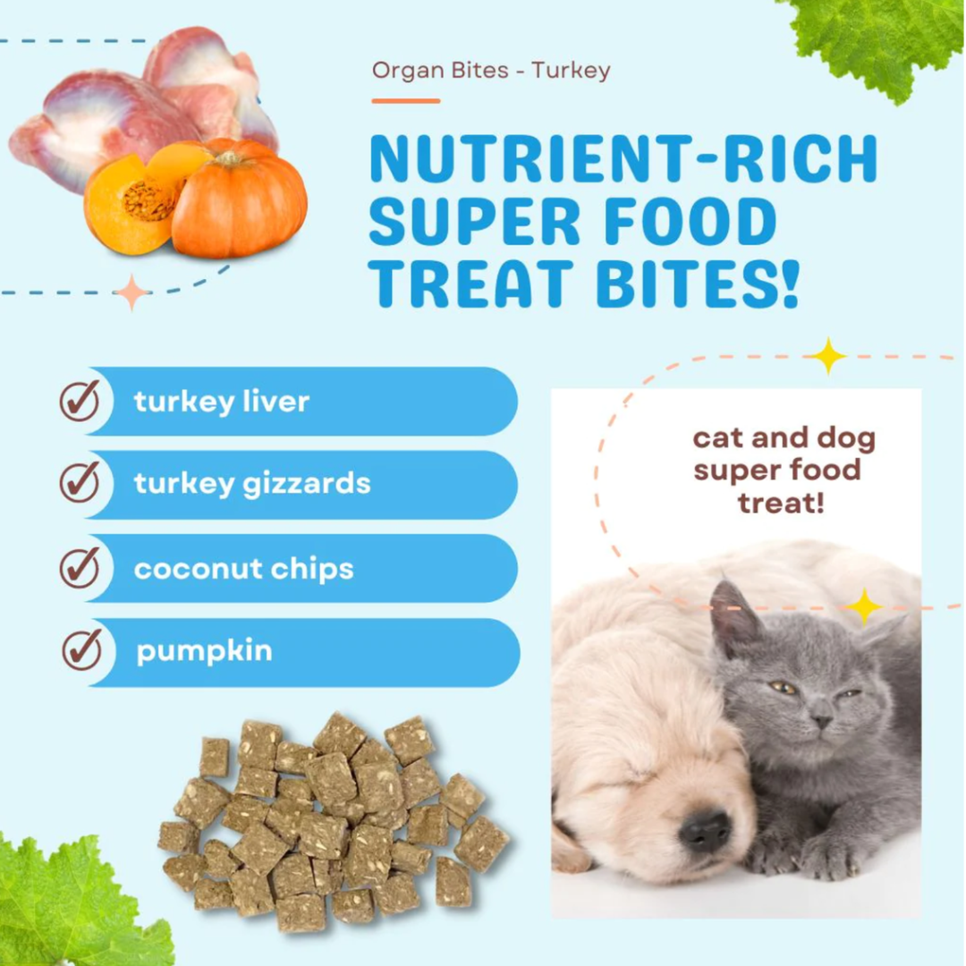 Cocotherapy Organ Treats | Turkey + Pumpkin