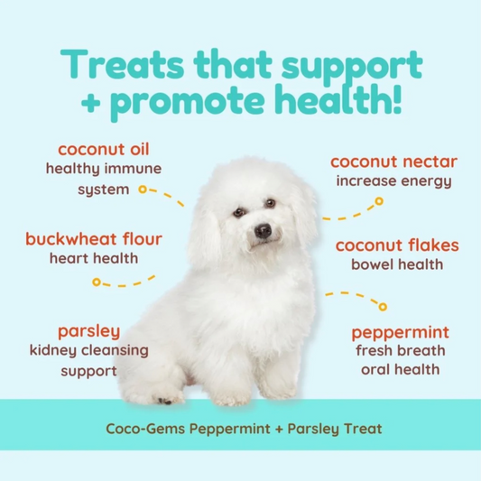 Cocotherapy Coco-Gems Training Treats | Peppermint + Parsley