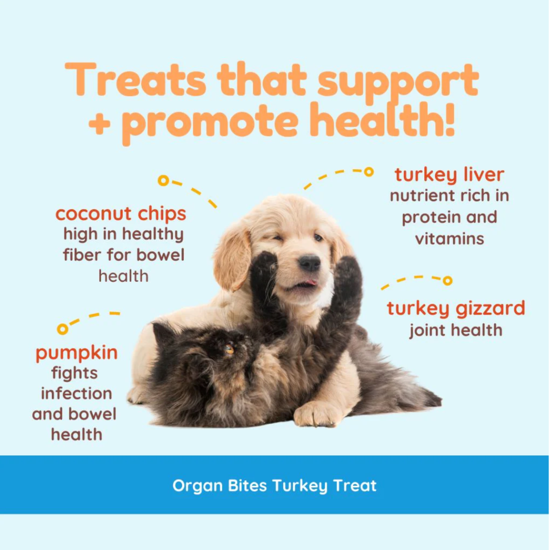 Cocotherapy Organ Treats | Turkey + Pumpkin