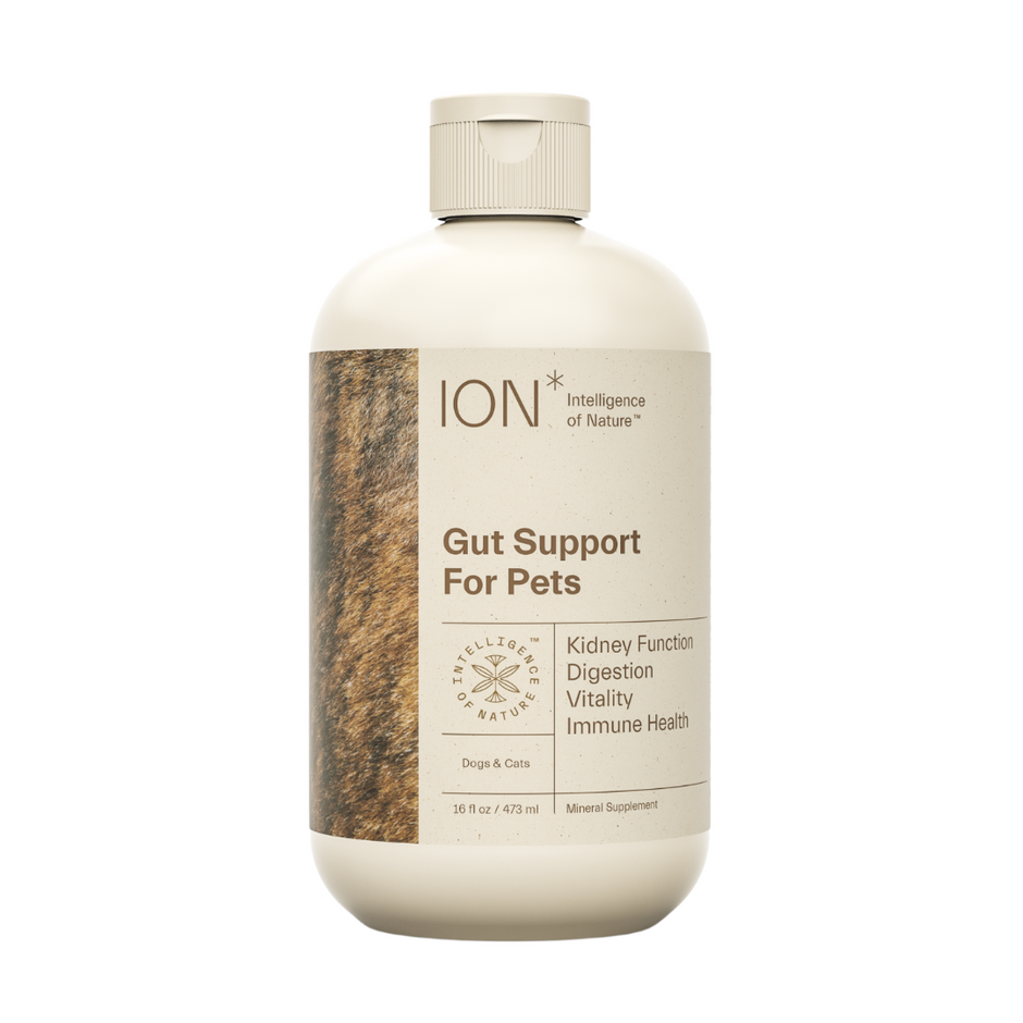 The Organic Dog Shop Holistic Natural Dog Products the-organic-dog-shop-holistic-natural-dog-products