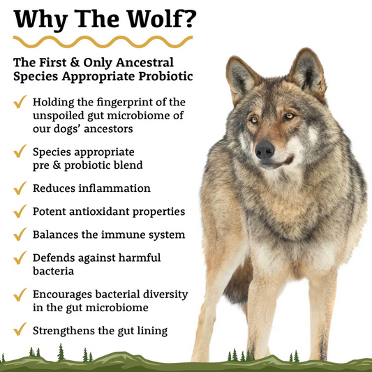 Adored Beast The Wolf | Species Appropriate Probiotic