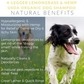 4-Legger Organic Shampoo Moisturize | Lemongrass