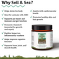 Soil & Sea | Ancestral Pre + Probiotics
