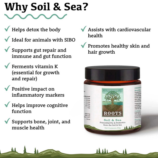 Adored Beast Soil & Sea | Primordial Pre & Probiotics