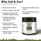 Adored Beast Soil & Sea | Primordial Pre & Probiotics