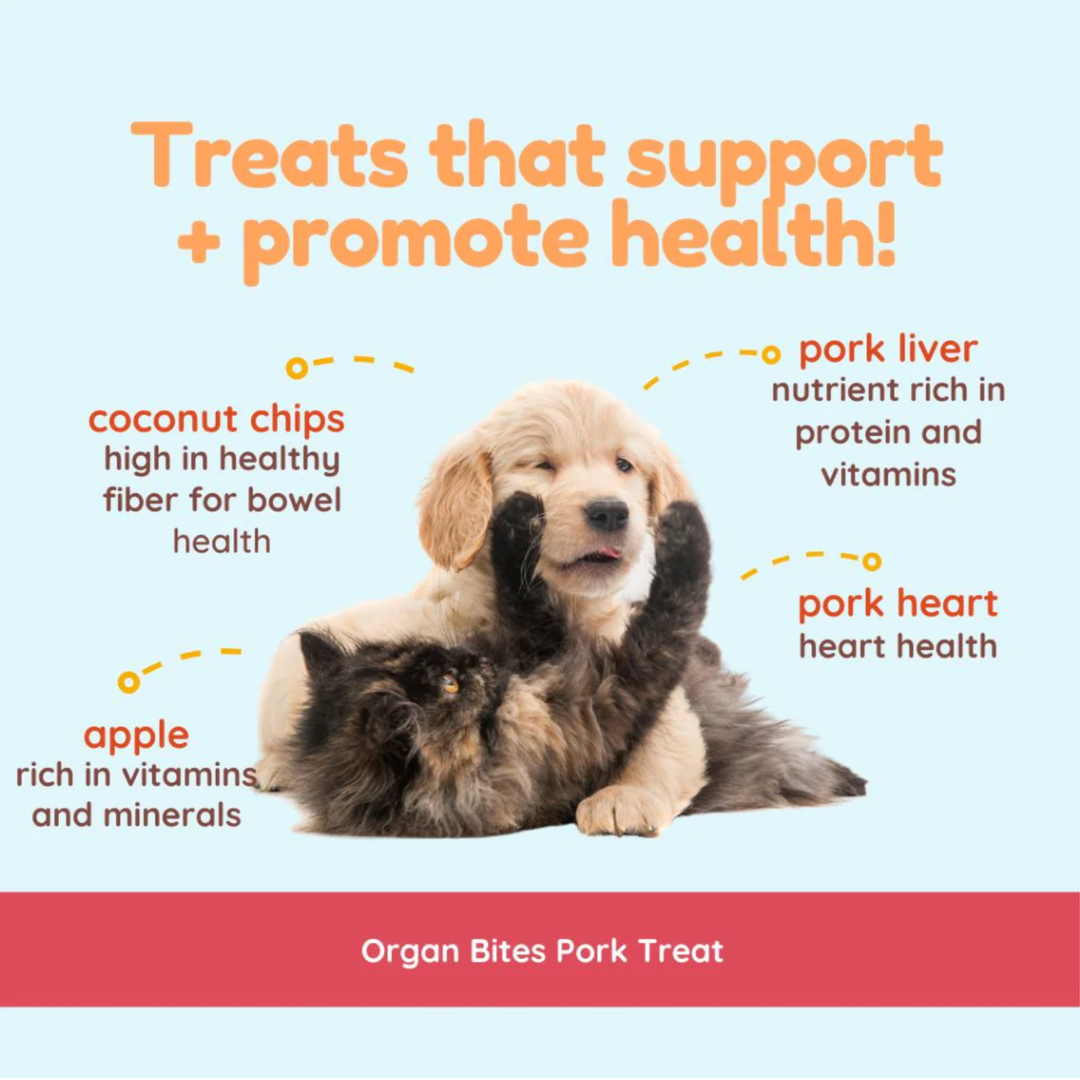 Cocotherapy Organ Treats | Pork + Apple