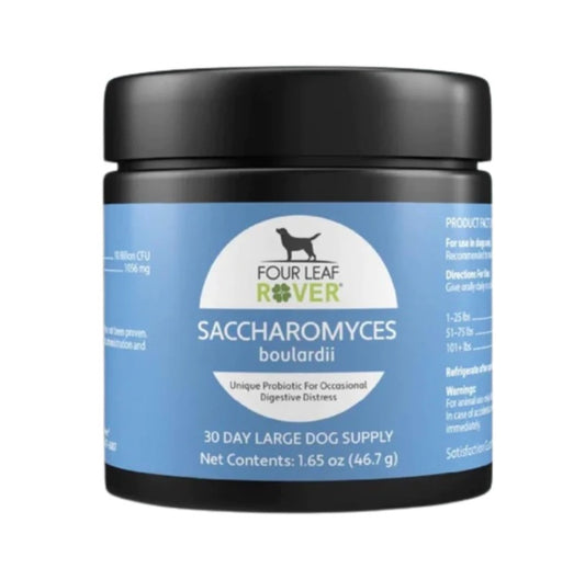 Saccharomyces boulardii is a robust probiotic with many benefits for dogs.